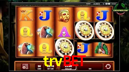 trvbet Salvador - Statistics