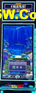 VIP Casino trvbet